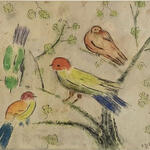 Aves de colores 