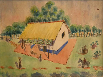 Vida de campo