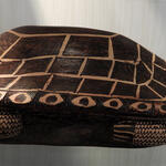 Tortuga