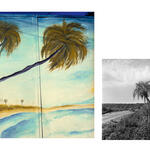 Palmeras